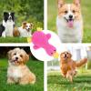 Crinkle Dog Toy - Plush Duck view 4
