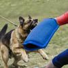 XAGMODSHN Thick Dog Bite Sleeve with Handle for Medium and Large Dogs view 4