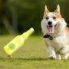 Cruncher de Bottle Water Toy for Dogs view 2