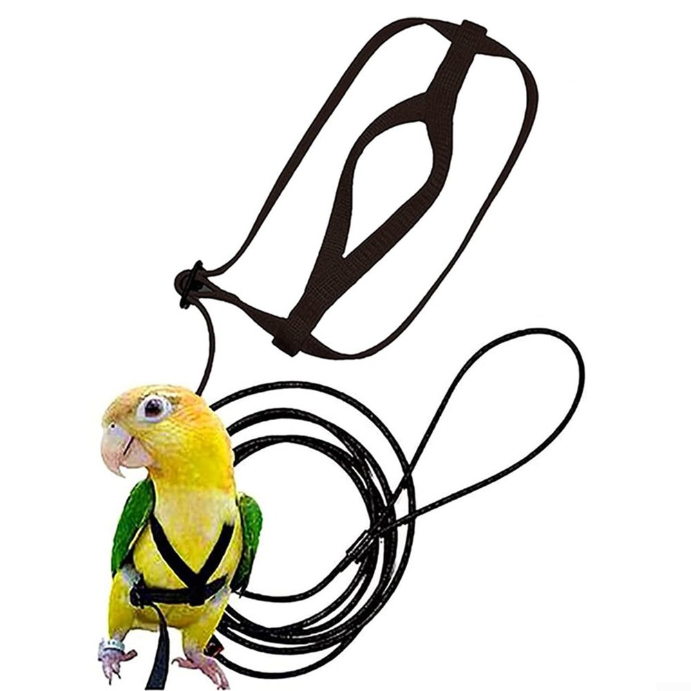 Parrot Harness with Adjustable Buckles