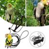 Parrot Harness with Adjustable Buckles view 3