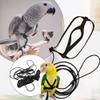 Parrot Harness with Adjustable Buckles view 4