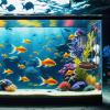 Aquarium Feeder with Suction Cup view 3
