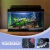 Aquarium Substrate Divider view 2