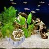 Aquarium Substrate Divider for Sand, Gravel, and Aquatic Plants view 2