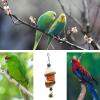 Generic Parrot Chew Toys, Hanging Bird Toys for Beak Exercise view 3