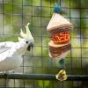 Generic Parrot Chew Toys, Hanging Bird Toys for Beak Exercise view 4