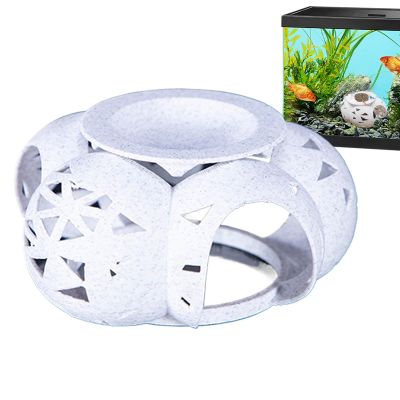 fayarrd Betta House, Irregular Porous Betta Fish Cave
