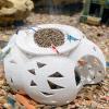 fayarrd Betta House, Irregular Porous Betta Fish Cave view 2