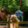 Horse Feeding Station, Hay Feeding Station, Horse Earrings view 2