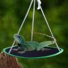 Small Pet Hammock for Guinea Pigs view 3