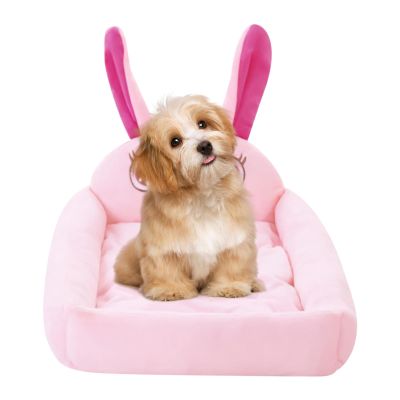 Soft Removable Indoor Cat Bed with Cozy Cushion