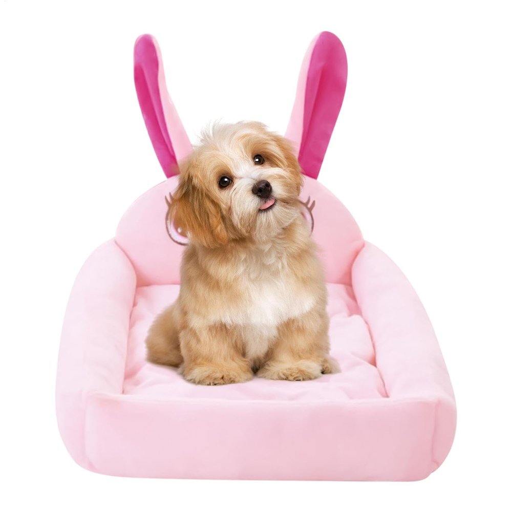 Soft Removable Indoor Cat Bed with Cozy Cushion