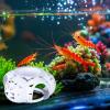 Betta House, Fish House view 3