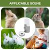 Automatic Pet Water Dispenser view 4