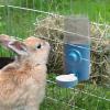 Automatic No-Drip Hanging Water Bottle for Rabbits, 600 mL view 2
