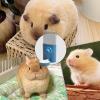 Automatic No-Drip Hanging Water Bottle for Rabbits, 600 mL view 4