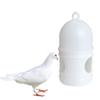 ROYJJ Pigeon Waterer, Portable Automatic Water Dispenser, 1 L view 4