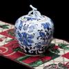 Cremation Urn for Ashes, Mini Memorial Urn for Adults and Pets view 4