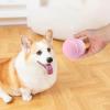 Portable Interactive Squeaky Dog Training Ball view 3