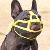Staffordshire Dog Muzzle view 4