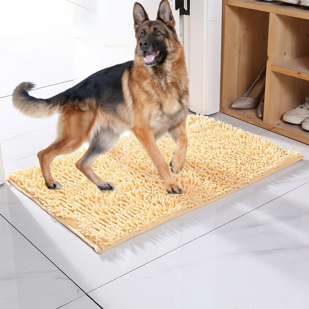 Dog Mat, Non-Slip, Machine Washable Microfiber Entrance Rug, Highly Absorbent, Welcome Mat for Muddy, Wet Shoes and Paws (Beige, 60x90cm)
