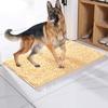 Dog Mat, Non-Slip, Machine Washable Microfiber Entrance Rug, Highly Absorbent, Welcome Mat for Muddy, Wet Shoes and Paws (Beige, 60x90cm) view 1
