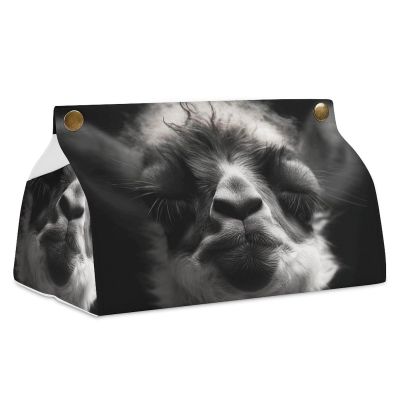 Leather Tissue Box Cover, Rectangular Decorative “A Little Camel”