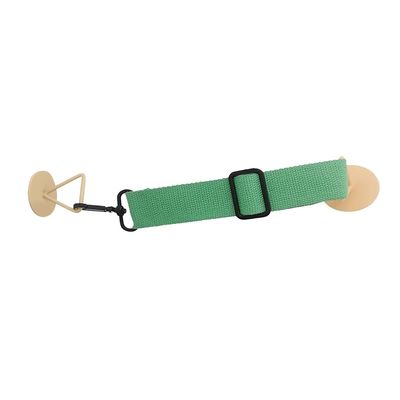 Pet Door Lock