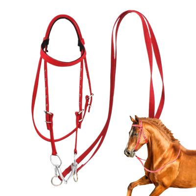 Adjustable Rope Bridle with Reins for Horses