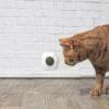Catnip Silvervine Ball view 3
