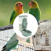 Automatic Bird Feeder for Cages view 4