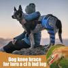 Dog Knee Brace - Orthopedic Support for Hip Recovery view 2