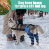 Dog Knee Brace - Orthopedic Support for Hip Recovery view 3