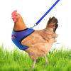 Adjustable Chicken Harness with Leash - 3.6ft Training Rope view 1