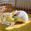 Automatic Pet Feeder for Small Animals view 3