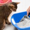 Stainless Steel Cat Litter Scoop view 3