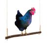 X-Institute Bird Climbing Perch Toy view 3