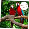 Toddmomy 2-Piece Natural Parrot Perches view 3