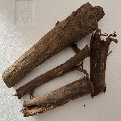 XXL Indian Almond Tree Bark, 50 g