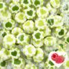 EinsSein Heart Rock Candies, Green/Light Green/White, 2 kg | Handmade & Individually Wrapped view 1