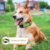 HEELE Reflective Dog Collar view 4