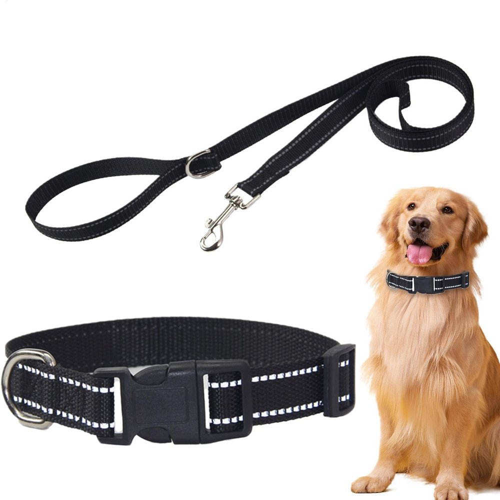 Dog Harness and Leash Set