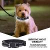 Dog Harness and Leash Set view 2