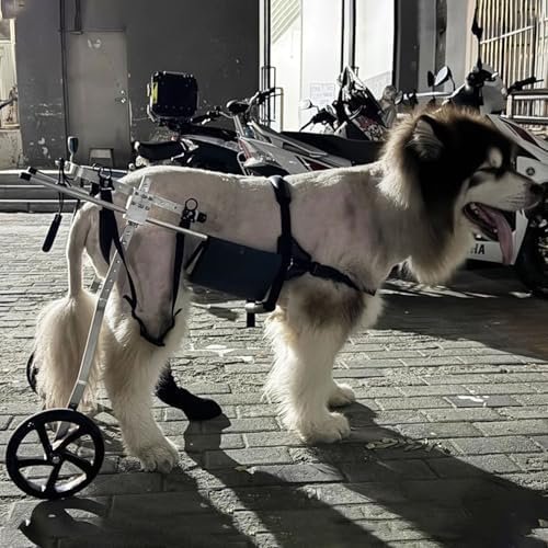 GJUOFFKO Rear-Leg Dog Wheelchair for Pet Rehabilitation