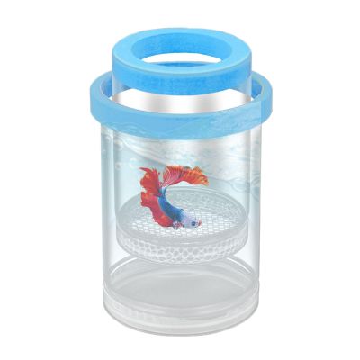 Floating Fish Breeding Box - Betta Isolation Hatchery