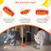 5-Pack Electric Beetle Cat Toy view 2