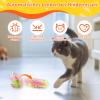 5-Pack Electric Beetle Cat Toy view 4