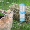 Rabbit Water Dispenser view 4