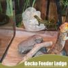Magnetic Gecko Water Bowl view 2